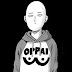 One Punch Man Hero - Introduction