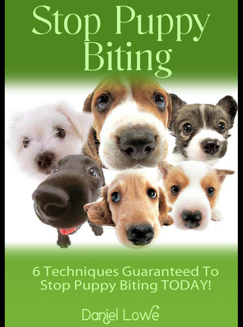 How To Stop Puppy Biting: Puppy Behaviour Training