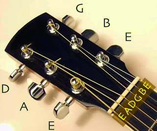 stem gitar