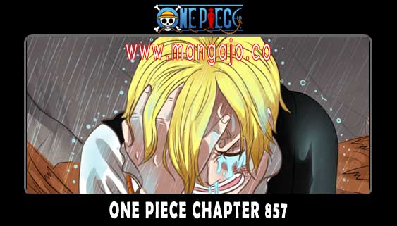 Baca One Piece Bhs Indo 857