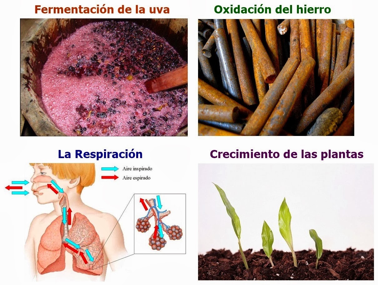 Todo sobre la química Fenómenos Físicos y Químicos