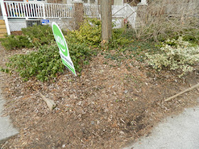 A Toronto Front Yard Spring Cleanup in Riverdale Before by Paul Jung Gardening Services--a Toronto Organic Gardener