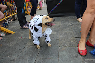 Concurso de disfraces caninos en Desierto