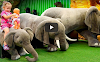 Children Entertainment for ChilduTube