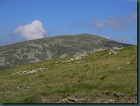 DSCN6124