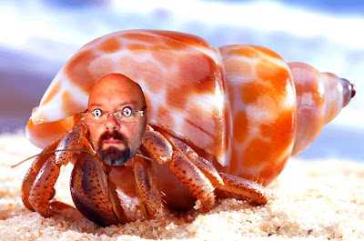  hermit-crabs.com