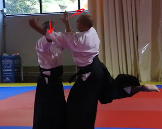 aikido shomen uchi kotegaeshi