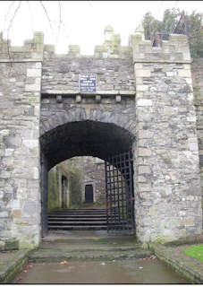 Wall for Old Dublin City