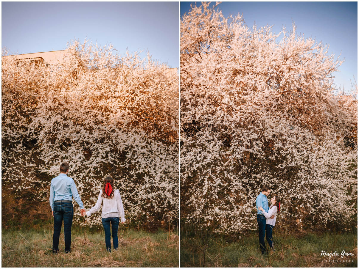 sesja zakochanych, wiosenna sesja zdjeciowa, zdjecia w bialych kwiatach, sesja narzeczenska, fotograf slubny lodzkie, fotograf opoczno, magda gmur fotografia,