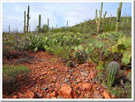 Tucson
