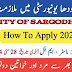 University of Sargodha jobs  Advertisement No 02/2024