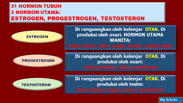 Tunjukkan Apakah Gambar  Yang  Berwarna  Biru  Rahman Gambar 