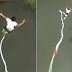 Bungee jumping με κομμένο σκοινί …