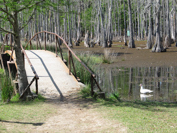 Houston Jones State Park - 21 mars