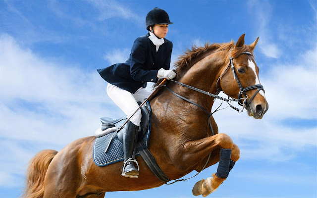 Best Jumping Horse Wallpaper