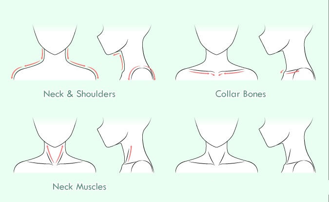 Cara menggambar leher & bahu anime selangkah demi selangkah