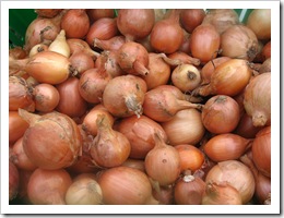 onion yellow
