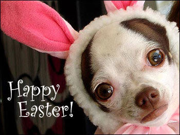Have a Happy Easter!