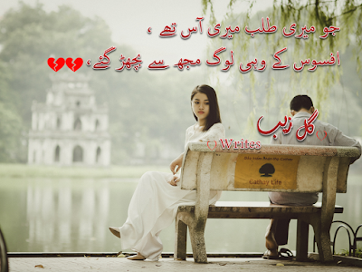 Best Urdu 2 line Poetry|Urdu Sad Poetry|Hindi Sad Poetry|Two line best poetry video|Tera Honton Se
