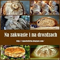 http://zapachchleba.blogspot.it/p/na-zakwasie-i-na-drozdzach.html