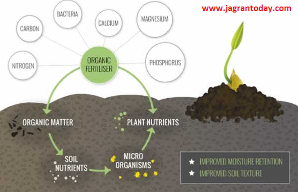 Benefits and Losses of Fertilizer or Compost