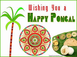 Happy Pongal 2016 HD Images Pictures