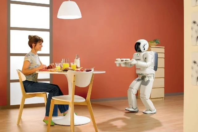 En los próximos 10 años los robots reducirán el 39% de los trabajos domésticos