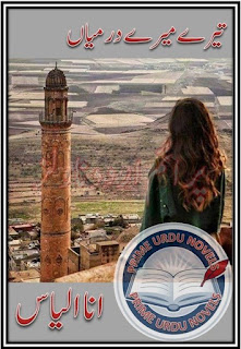 Free online reading Tery mere darmiyaan novel by Ana Ilyas