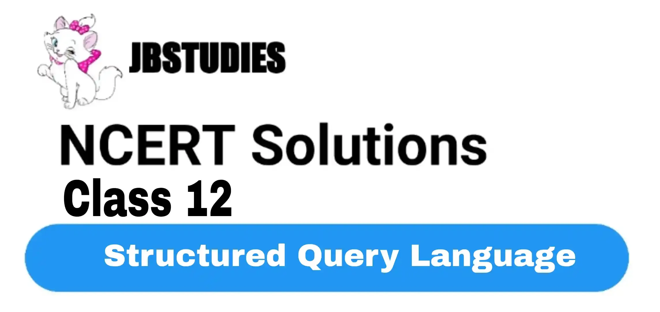 Solutions Class 12 Computer Science (Python) Chapter -7 (Structured Query Language)