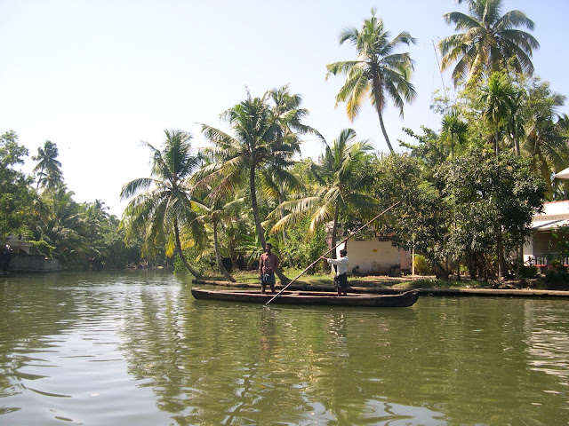 a close view of Kerala Backwaters