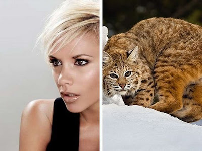 Funny - Similarity Between Celebrities And Animals