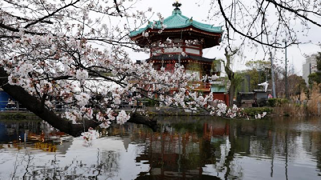 Panduan Transportasi di Jepang untuk Wisatawan