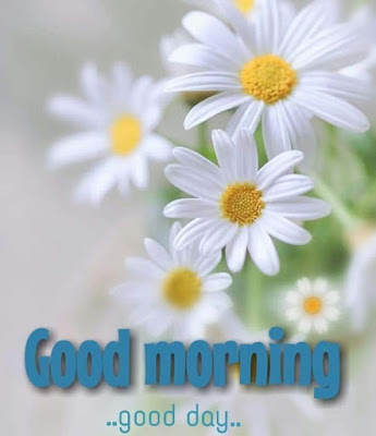 60+ Good morning wishes images for Fb Dpz whatsapp Status Free