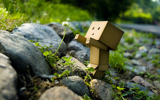 Gambar Wallpaper Danbo HD Lucu Terbaru