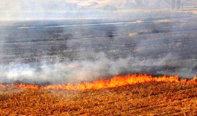 TZOB Başkanı Bayraktar'dan "anız" uyarısı