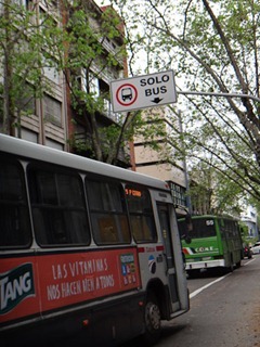 049dev-DSC03589