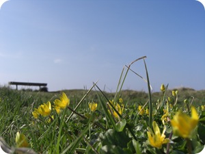 April 2009 246