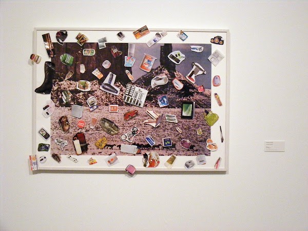 DESCRIPCION DEL MUNDO/ ESPACIOS PUBLICOS/ Peste en el Mac, 2010