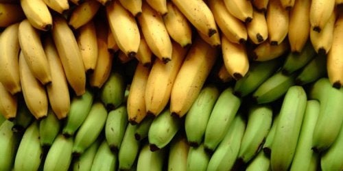 Frutas de banana y plátano