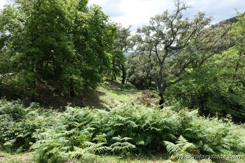 Sierra de Montecoche