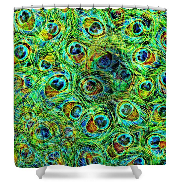 http://fineartamerica.com/products/peacock-prisim-ally-white-shower-curtain.html