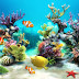Aquarium Live Wallpaper Free Android  Application 