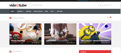 VideoTube-wordpress video theme Like YouTube -wordpress video theme like YouTube