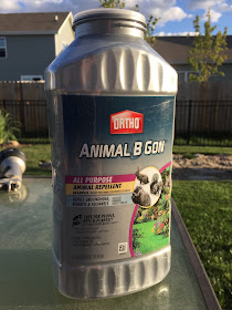 animal b gon