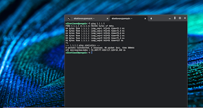 cara ping di distro linux