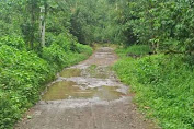 Jalan Penghubung Kampung Bonto Tappalang Dengan Lalijangan Rusak