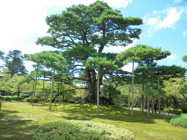 金沢兼六園