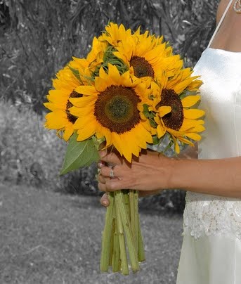 Deep yellow large sunflowers bridal bouquet