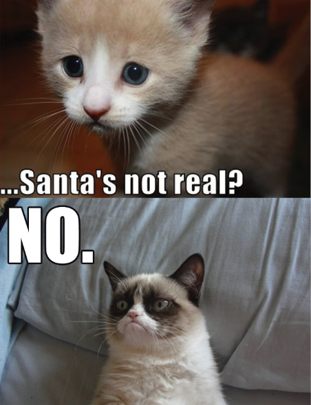 Grumpy cat: quot;No Santa39;s not realquot;