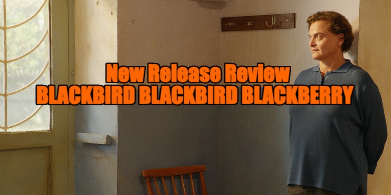 Blackbird Blackbird Blackberry review